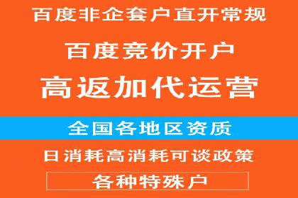 百度竞价广告的投放技巧及优化方法——以某品牌为例